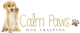 Calm Paws Dog Training